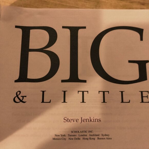 Big and Little Steve Jenkins Paperback Book Scholastic - Picture 4 of 5